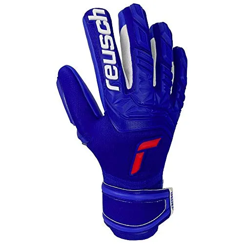 Reusch Unisex Torwarthandschuhe Attrakt Freegel Silver deep Blue/deep Blue 10