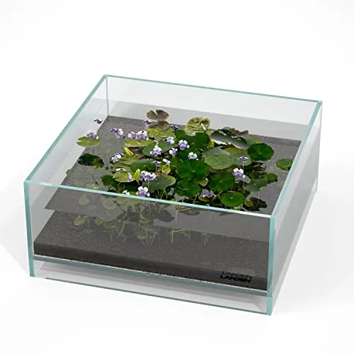 Landen Glas-Luft-Aquarium-Tank, Multi-SceneLandschafts-Aquarium, randlos, eisenarmer, Flacher Tank, B 27 x T 27 x H 12 cm, 5 mm Dicke