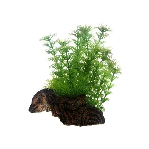 Hobby Flora Root 3 - S, 17 cm