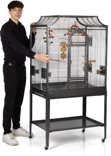 Montana Cages Madeira II - Premium Vogelkäfig für Sittiche - Vogelkäfige – Hochwertiger Madeira II Käfig mit Anflugklappe, Freisitz und 4 Edelstahlnäpfen, ideal für Sittiche und andere Vögel, rost- und alterungsbeständig durch AVILON Pulverbeschichtung.