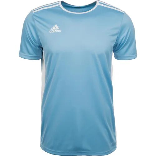 adidas Entrada 18 Fußballtrikot Herren (S) (9458387)