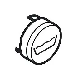 hansgrohe Druckknöpf 93577880 für Unterputz-Thermostat, Taste Wanne, Edelmatt