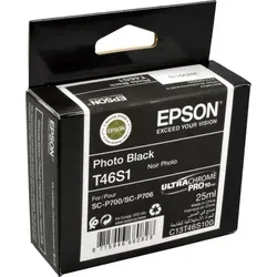 Epson Tinte C13T46S100 T46S1 - Original Tintenpatrone foto schwarz, 26 ml für brillante Druckergebnisse in Epson SureColor SC-P 700, ideal für Fotografen und Grafikdesigner