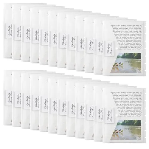 Dokumentenmappe A4, 24 Stück A4 Dokumententasche Transparent mit Etikettentasche, Wasserdichte Dokumentenmappe zum Abheften für Dokumente Organisieren Bürobedarf Hausaufgaben