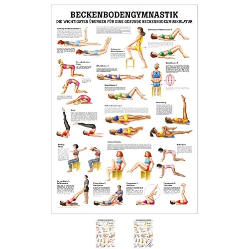 Produktbild Sport-Tec Beckenbodengymnastik Mini-Poster Anatomie 34x24 cm