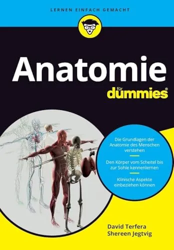 Anatomie für Dummies: Der einfache Weg zur Anatomiekenntnis
