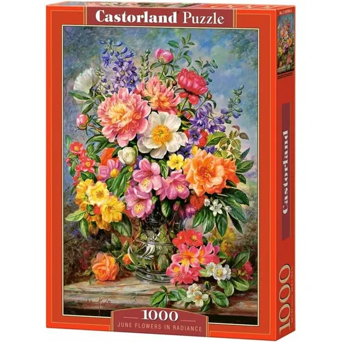 CASTORLAND Puzzle Juni Blumen 1000 Teile von Castorland