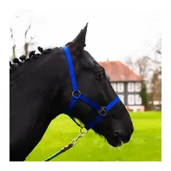 Pferdelinis Halfter Halfter für Pferde 2-Fach verstellbar an Kinnriemen und Genickstück, zweifach verstellbar blau Cob