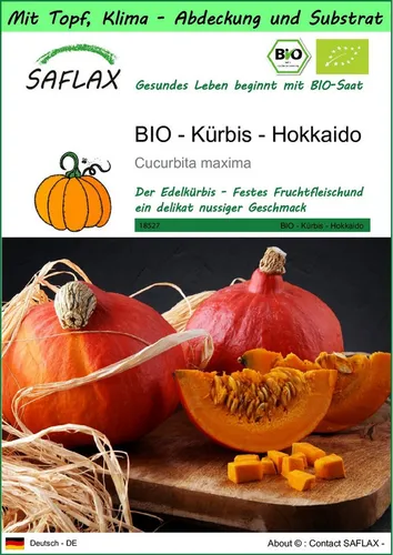 SAFLAX Gemüsesamen SAFLAX - Garden to go - BIO - Kürbis - Hokkaido