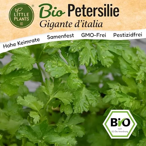 Little Plants BIO Petersilie Gigante ditalia Samen 500 Petersiliensamen Kräutersamen Samenfest für Kräutergarten Kräuter Samen Küchenkräuter für Küche, Balkon und Garten