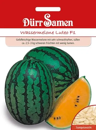 Dürr-Samen - Orangefleischige Wassermelonen Luteo F1 Saatgut