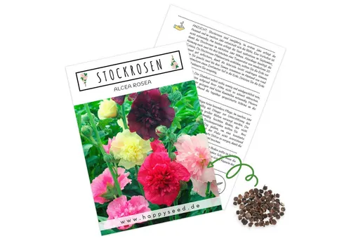 HappySeed Blumensamen Stockrosen Samen - Alcea Rosea (Mix), Rosen