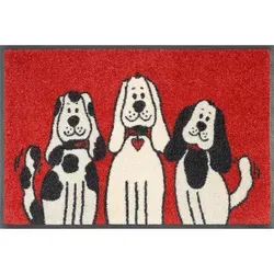 wash+dry by Kleen-Tex Fußmatte Three Dogs - Rechteckige Schmutzfangmatte mit Hunde-Motiv, rutschhemmend und waschbar – ideal für Eingangsbereiche und pflegeleicht.