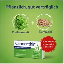 Carmenthin bei Verdauungsstörungen 42 St - rezeptfreie Magensaftresistente Weichkapseln, effektiv gegen Verdauungsbeschwerden