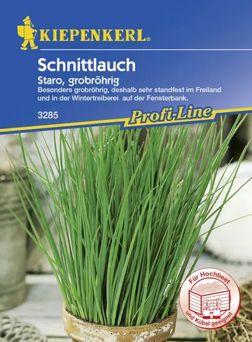 Produktbild Kiepenkerl Schnittlauch Staro ca. 100 Pflanzen