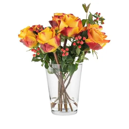 TREND FOR HOME Tulpenvase H: 19 cm Blumenvase Glas Große Vase für Rosen Glasvase Rund Vase für Tulpen Amaryllis Vasee Gross Rosenvase Runde Glasvase Durchsichtige Vasee | ⌀ 14.2 cm | Alyssa