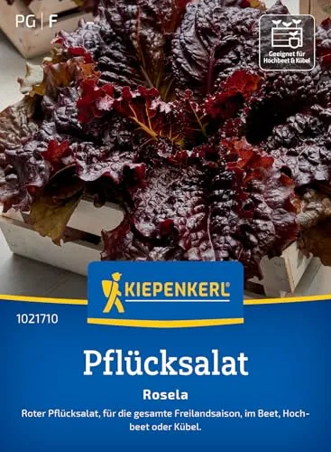 Kiepenkerl Pflücksalatsamen Rosela 1021710 - Schossfester, schnellwachsender Pflücksalat für frische Ernten über die ganze Freilandsaison, rot-gekrauste Blätter