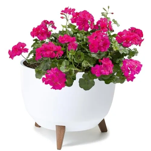 botle Blumentopf mit Füßen aus Kunststoff, Schüssel Rund mit Einsatz, Farbe (weiß, D 29 cm x H 23 cm)