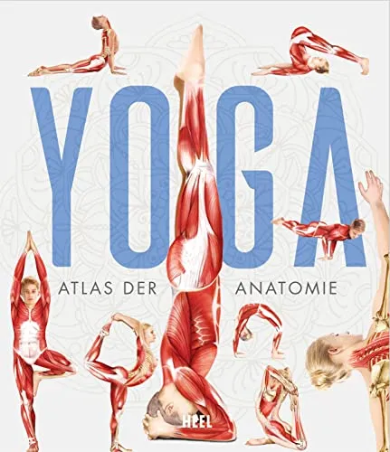 YOGA - Atlas der Anatomie: Yoga Anatomie und Asanas - Diäten: Detaillierte wissenschaftliche anatomische Illustrationen für ein besseres Verständnis der Asanas und deren Auswirkungen auf den Körper.