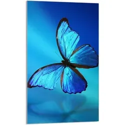 Glasschneidebrett 30x52 Schmetterling