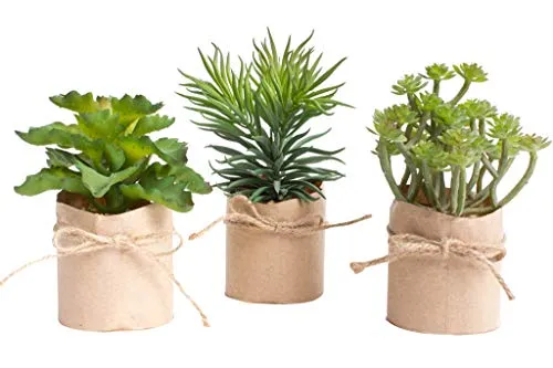 Flora-Seta künstliches Sukkulentensortiment in Papiertüte