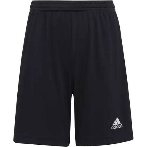 ADIDAS Kinder Teamhose Entrada 22 in schwarz von adidas