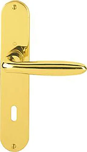 Hoppe Verona Messing-Langschild-Türgriff-Garnitur M151/302 in gold von HOPPE