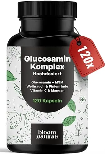 Glucosamin Kapseln Komplex Hochdosiert