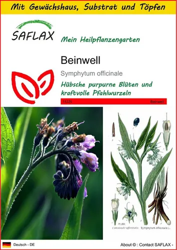 SAFLAX Blumensamen SAFLAX - Anzuchtset - Beinwell