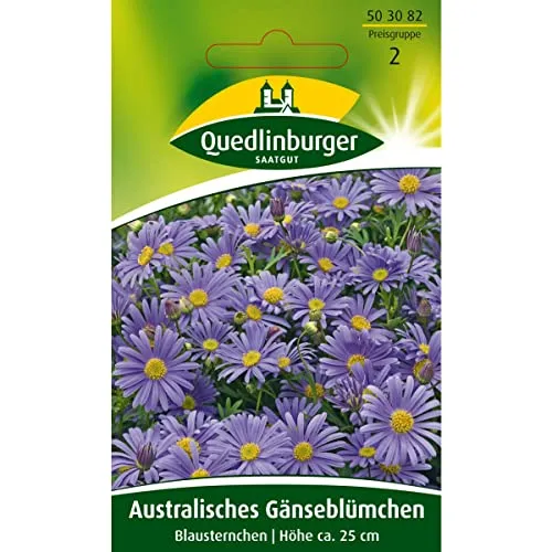 Australisches Gänseblümchen, Blausternchen