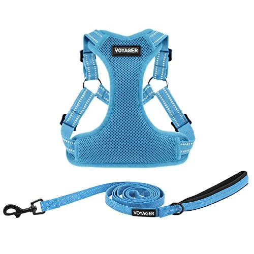 Voyager Step-in Flex Hundegeschirr und reflektierende Hundeleine Kombi-Set mit Neoprengriff 1,5 m lang, unterstützt kleine, mittlere und große Rassen Welpen, Babyblau (mit Leine), S