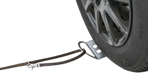 Trixie Auffahrplatte Auto zum Anleinen von Hunden (12 x 26 cm) - Praktische Auffahrplatte für Hunde, ideal zum Anleinen im Auto. Kompakt und robust, erleichtert das Ein- und Aussteigen für Ihren Vierbeiner.
