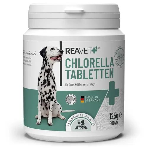 REAVET Chlorella Tabletten für Hunde 500 Stück hochdosiert Lebensmittelqualität