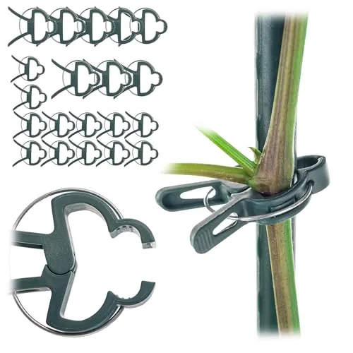 KADAX 20 x Pflanzenklammern 6x5cm & 4x3.5cm für Tomaten, Gurken, Rosen und andere Kletterpflanzen, Pflanzenclips Klein, Rankhilfe für Rankpflanzen, Tomatenclips (Grün)