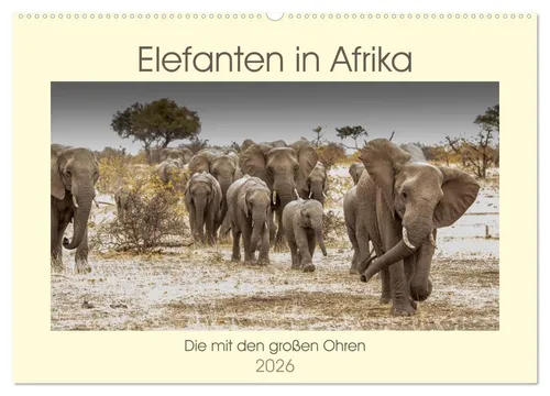 Barbara Bethke | Elefanten in Afrika - Die mit den großen Ohren (Wandkalender 2025) - Entdecken Sie die faszinierende Welt der Elefanten in diesem liebevoll gestalteten Wandkalender. 14 beeindruckende Motive zeigen ihre majestätische Schönheit. Ideal für Tierliebhaber und Afrika-Fans!
