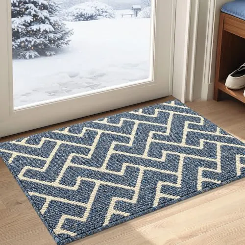 Biscpro Schmutzfangmatte 50x80 Fußmatte, Wasserdicht Schmutzabsorption Matte Fussmatte für Außen Innen Eingang, Garten, Teppich, küchenteppich