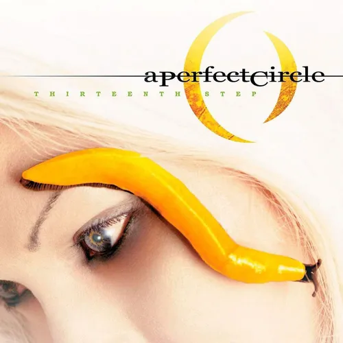A Perfect Circle Thirteenth Step (Vinyl) 12