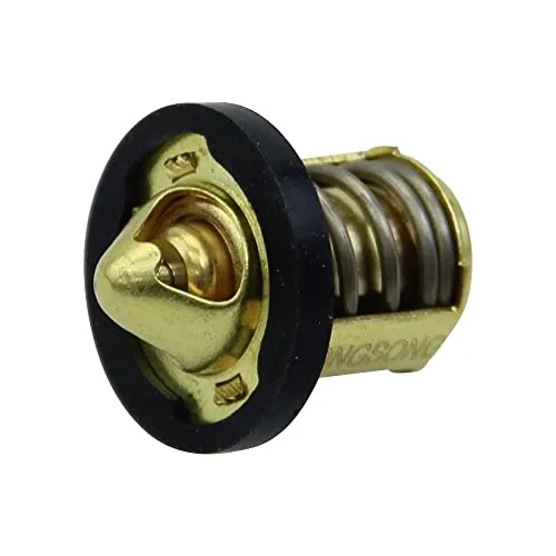 Thermostat für Peugeot Speedfight 1 und 2