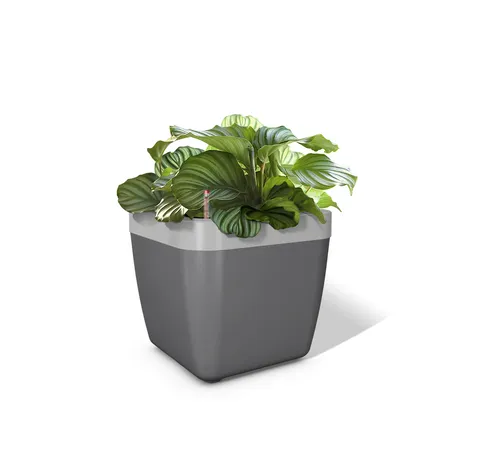 Emsa myBOX Blumenkasten Blumenkübel 35 cm anhrazit/alu Pflanzkübel Pflanzkasten