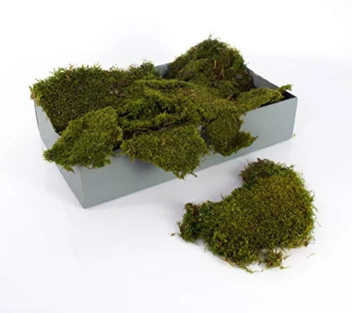 artplants.de Echtes Lappen Moos zum Dekorieren, Natur grün, 2kg