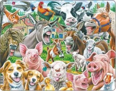 Puzzle