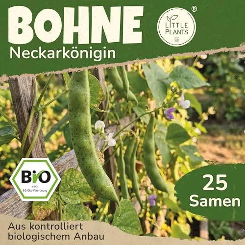 Little Plants BIO Bohnen Samen 25 Bohnensamen Neckarkönigin Gemüsesamen Samenfest für Gemüsegarten Gemüse Samen Hochbeet Samen für Küche, Balkon und Garten