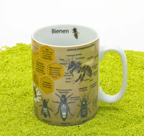 Könitz Porzellan Becher Wissensbecher Bienen 490 ml von Könitz Porzellan