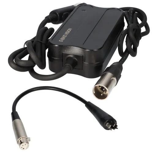 12V KFZ-Ladegerät für Bosch Active Line 36V Akku