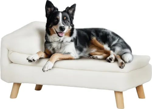 PawHut Hundesofa, Hunde-/Katzenbett mit weichem Kissen, abnehmbaren und waschbaren Bezügen, Plüsch, 70 x 42,5 x 38,5 cm (B x T x H), Creme