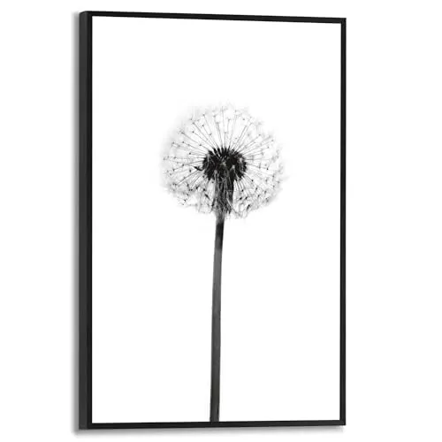 REINDERS Gerahmtes Bild, Pusteblume, Küche, Bilder, Wanddeko, Room Decor, MDF, Schwarz-Weiß, 30x20cm