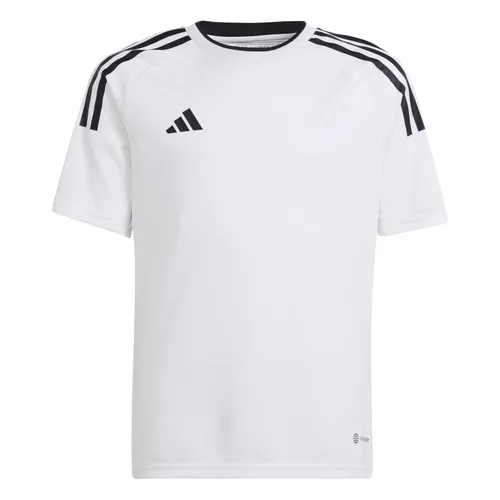 Adidas Campeon 23 Trikot Kinder - weiss
