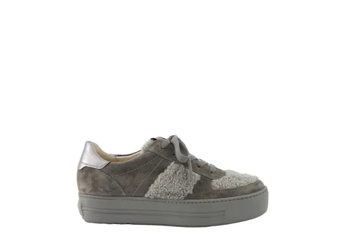 Paul Green Paul Green 5487-008, Sneaker, Grau, Damen Sneaker