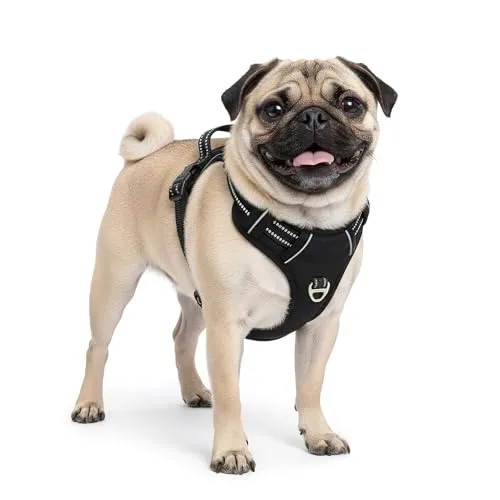 Reichstadt Pets Hundegeschirr – Verstellbares No-Pull Geschirr mit Griff & Reflektoren | Atmungsaktiv, Gepolstert & Strapazierfähig | Sicherheitsgeschirr für Kleine Hunde 25RSP083 Black S
