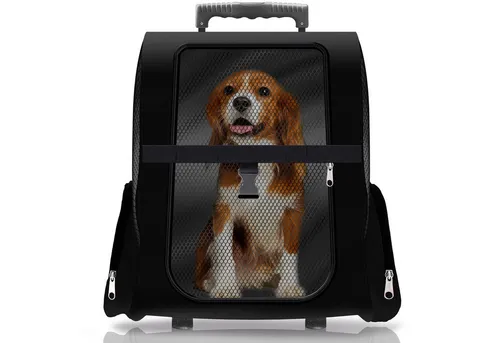 All Pets United Hunde-Trolley